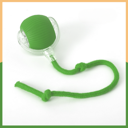 Automatic Rolling Ball Cat & Dog Toys™